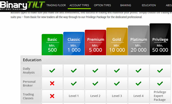 binarytilt account types