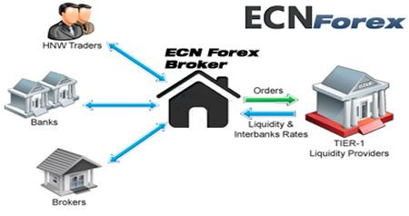 ECN Forex Trading