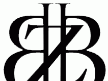 Binarybrokerz logo